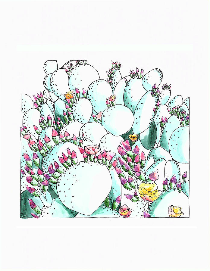 Cactus Drawing - Cactus by Shanon Rifenbery