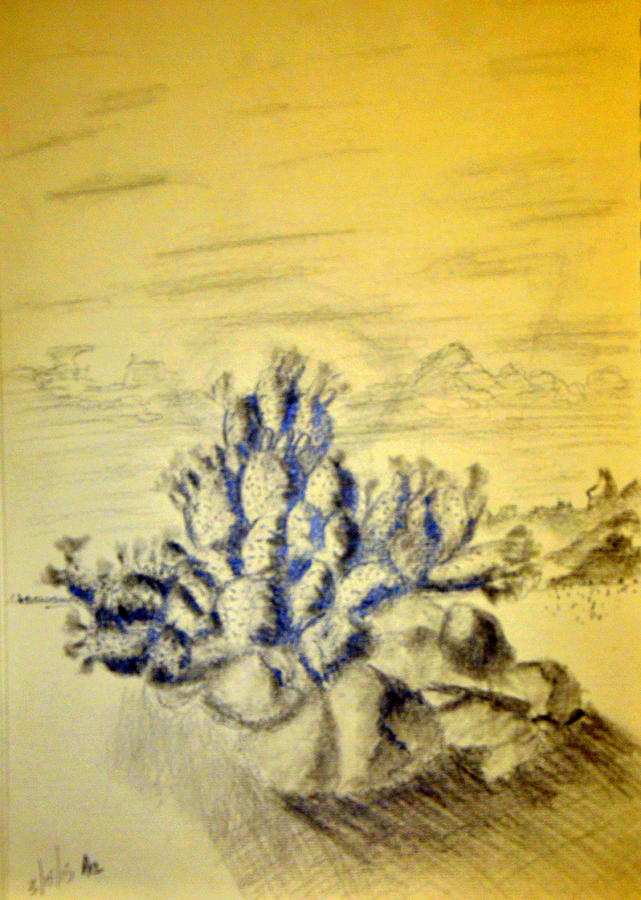 Cactus Sketch Thumbnail Prep WIP Drawing by Antonia Citrino