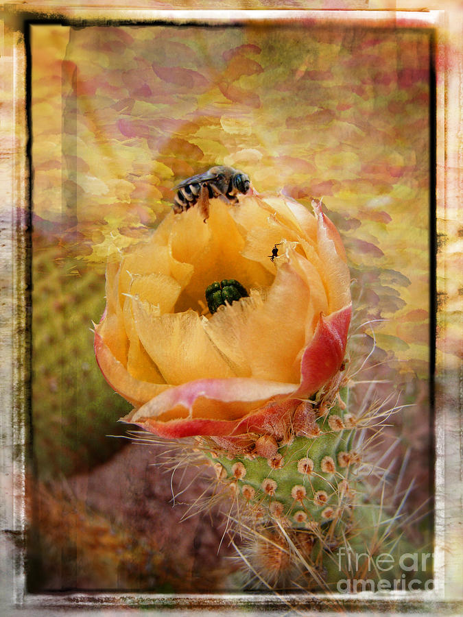 Abstract Mixed Media - Cactus Spring Beauty w Frame by Beverly Guilliams