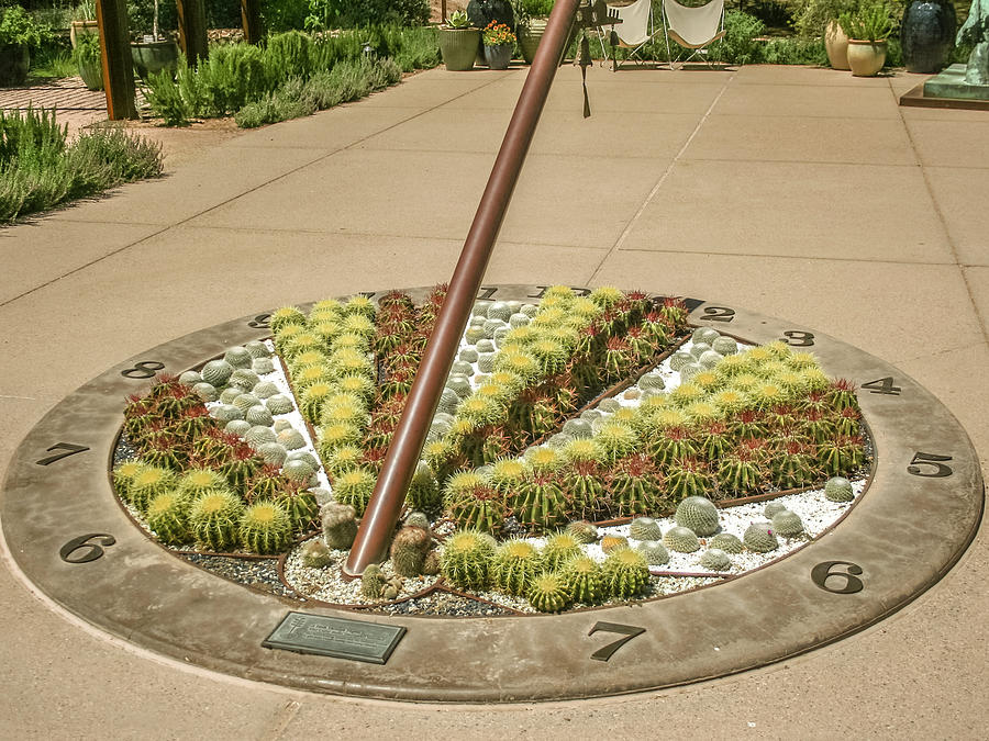 Cactus sundial Photograph by Darrell Foster