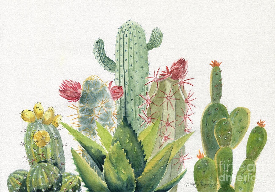 Flower Painting - Cactus Watercolor by Melly Terpening