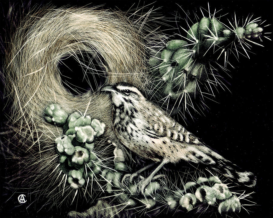 Cactus Wren Painting by Angie Cockle
