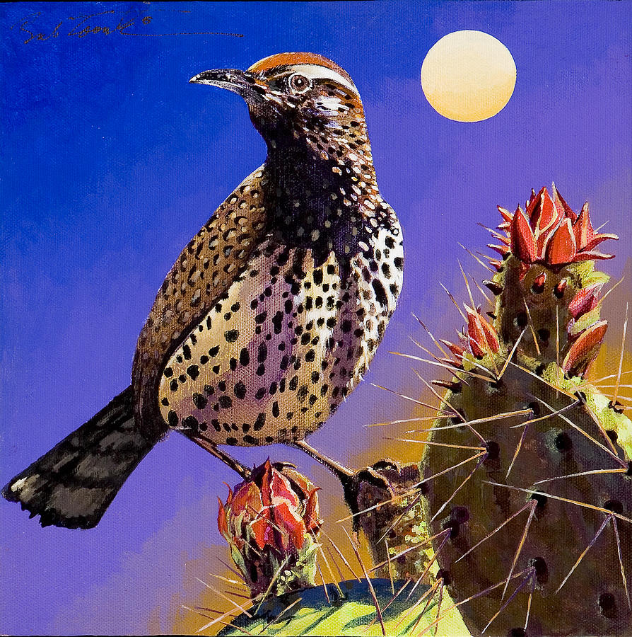 Cactus Wren Painting by Bob Coonts