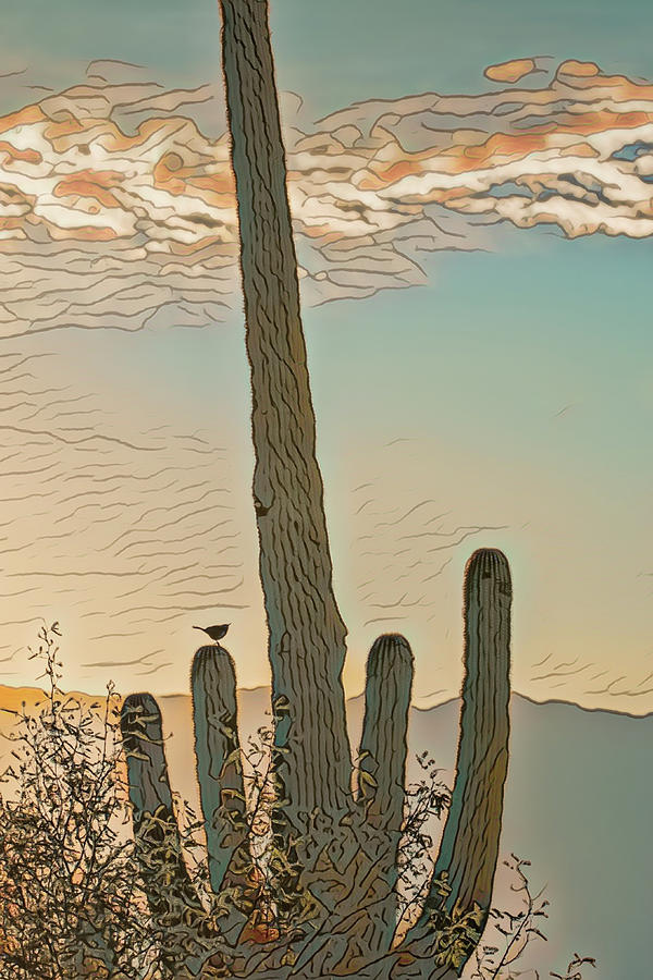 Cactus Wren serenade Photograph by Dan McManus