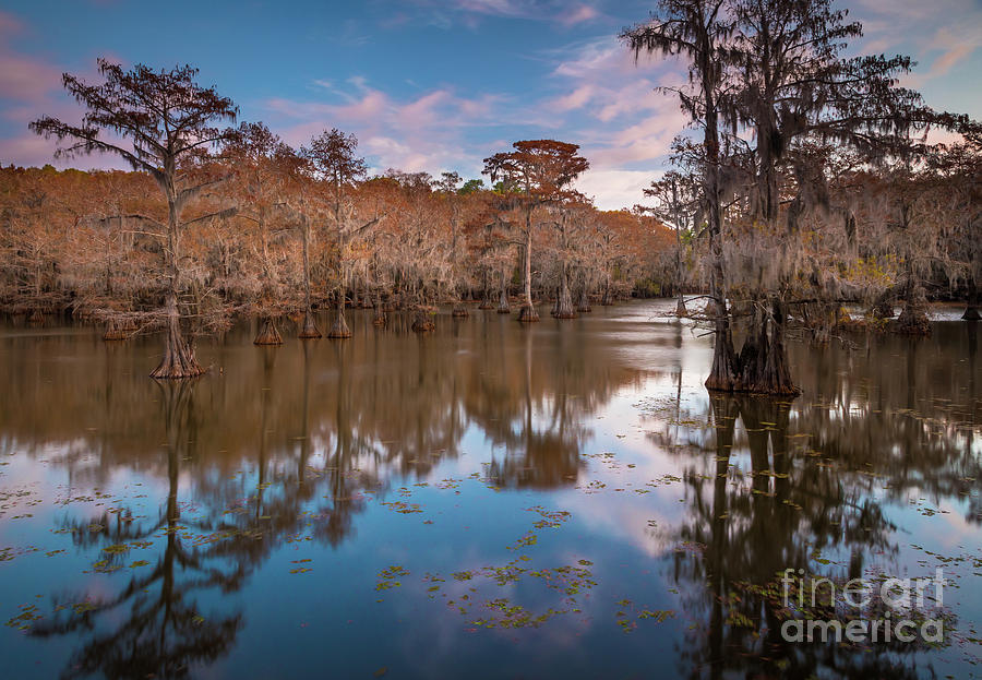 Caddo Blues Photograph by Inge Johnsson