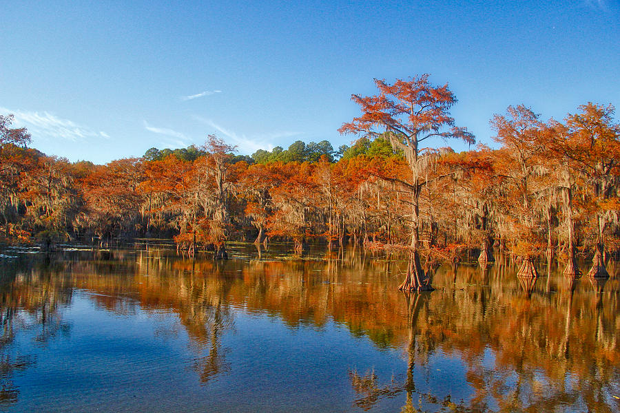 Caddo in the Fall Photograph by Linda James