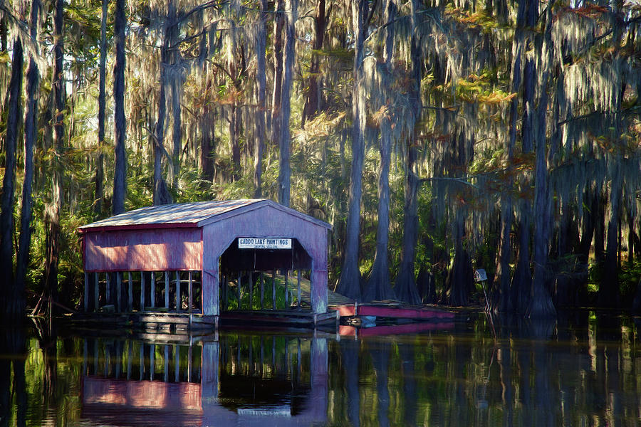 Caddo Lake Paintings Photograph by Lana Trussell