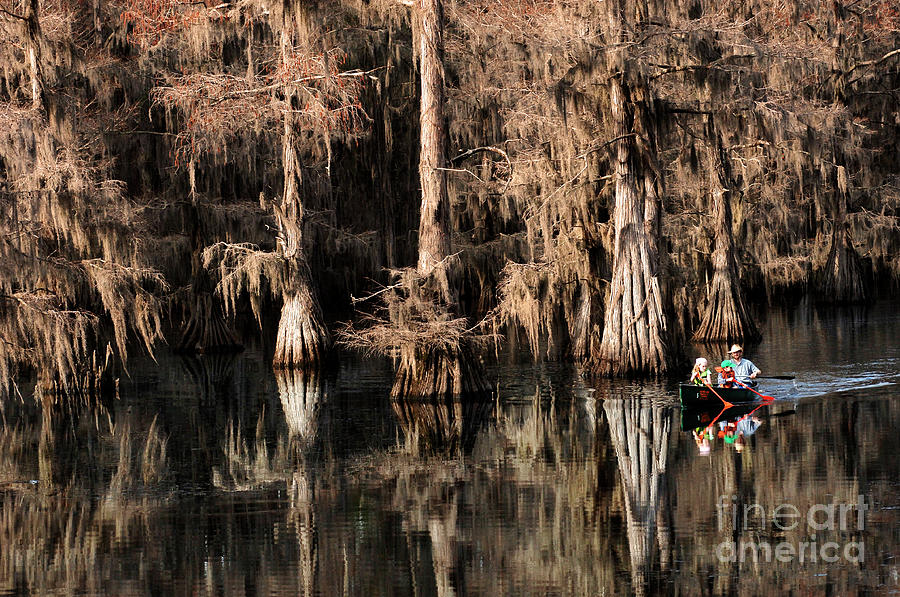 Caddo Lake Texas 1 Photograph by Bob Christopher
