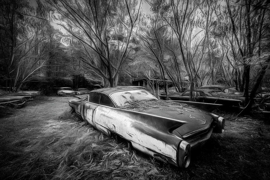 Caddy in the Woods Black and White Photograph by Debra and Dave Vanderlaan
