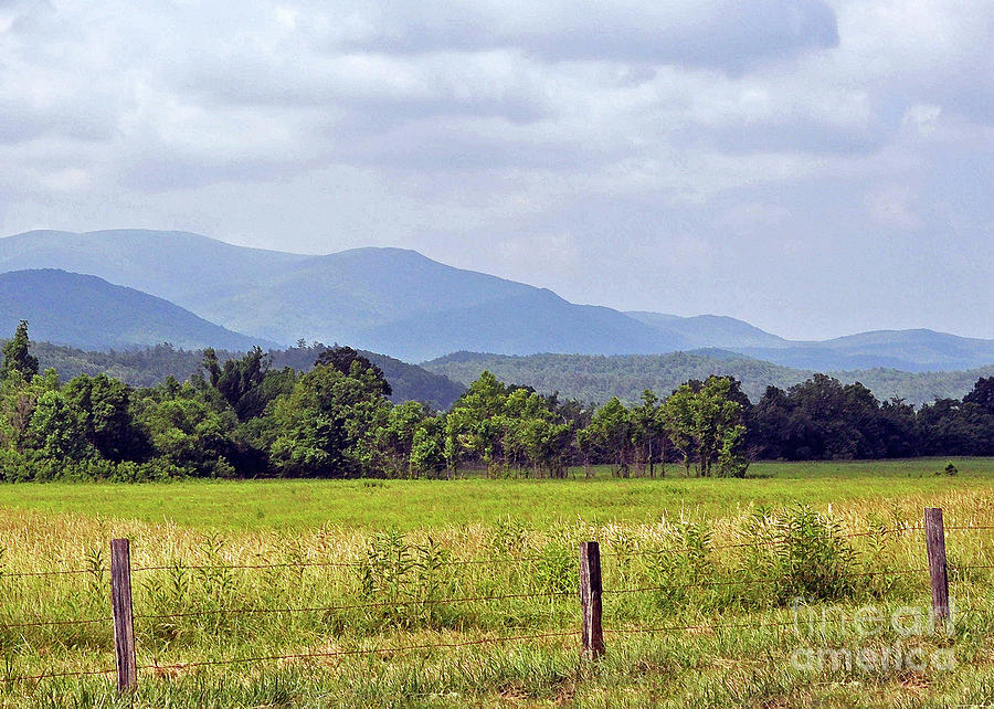 Cades Cove 3 Photograph by Lydia Holly
