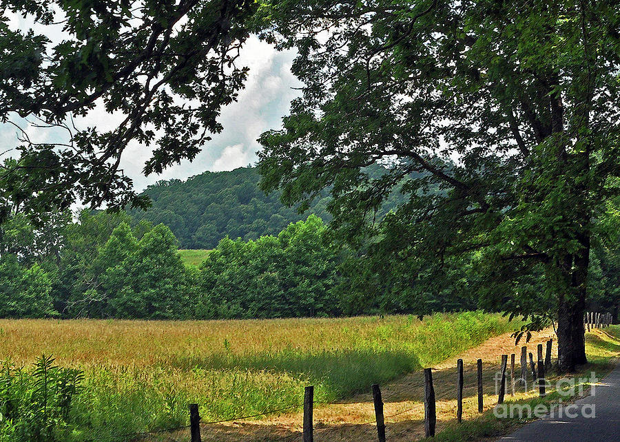 Cades Cove 4 Photograph by Lydia Holly