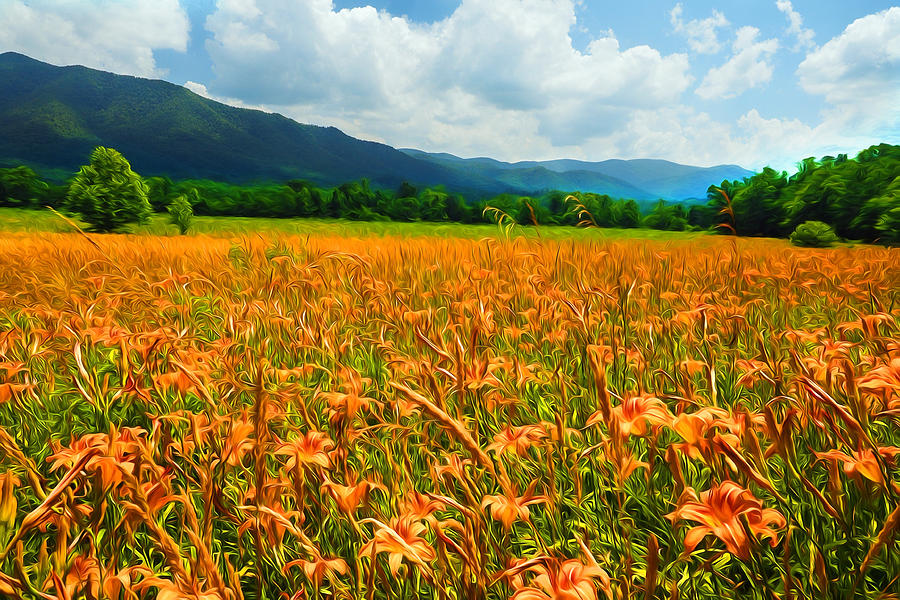 Cades Cove Daylilies Paint 2 by Don Keisling Cades Cove Daylilies Paint 2 by Don Keisling