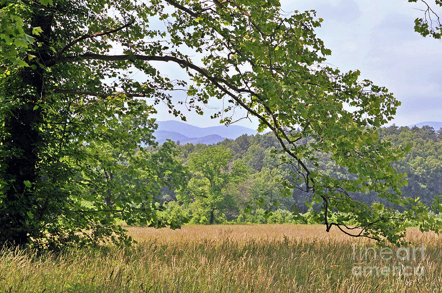 Cades Cove Photograph by Lydia Holly