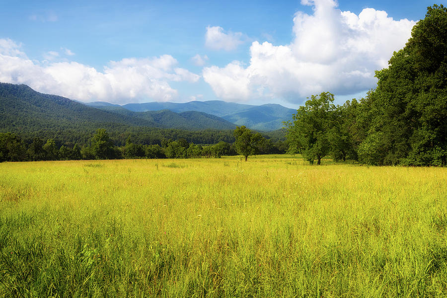 Cades Cove Meadow Photograph by Todd Ryburn