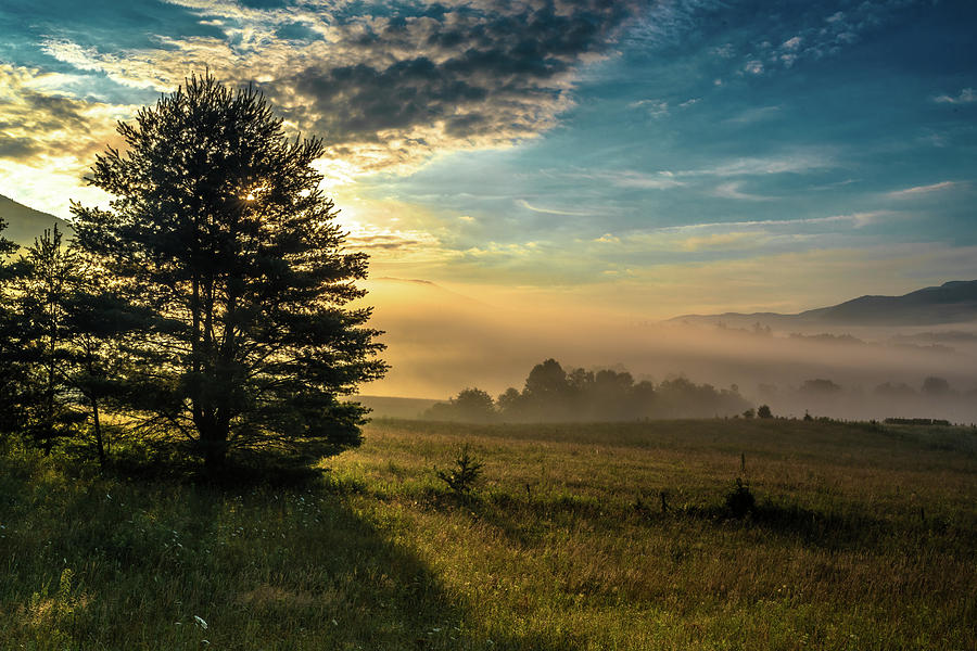 Cades Cove Summer Morning Photograph by Eric Albright