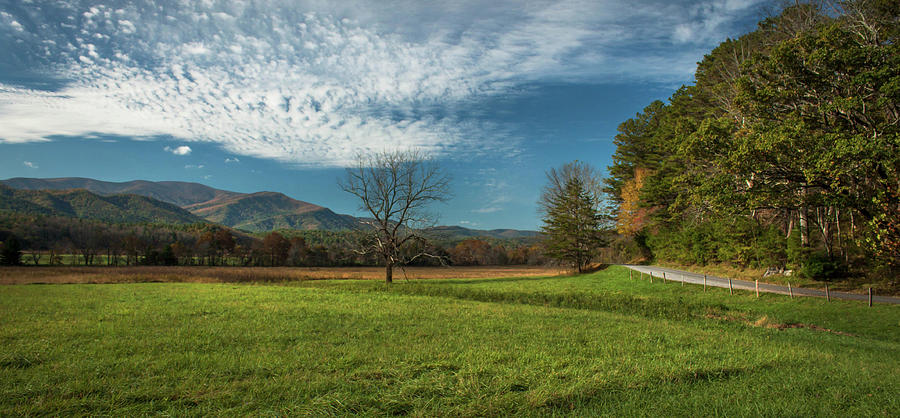 Cades Cove Tennessee Photograph by Lena Auxier