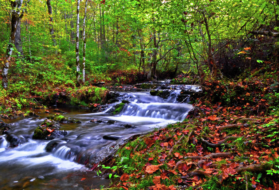 Cades Cove Waterfall 005 Photograph by George Bostian