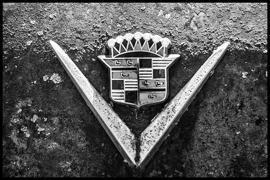 Cadillac Emblem Photograph by Matthew Pace