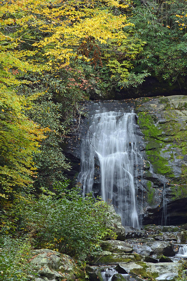 Cadillac Falls Great Smoky Mountains National Park Photograph by Bruce Gourley