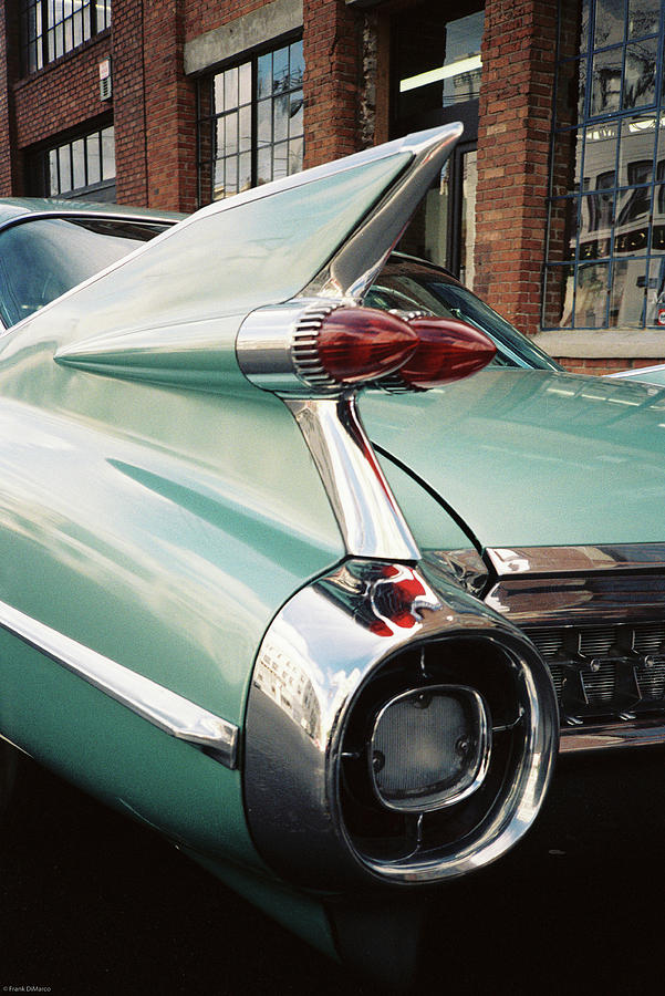Cadillac Fins Photograph by Frank DiMarco