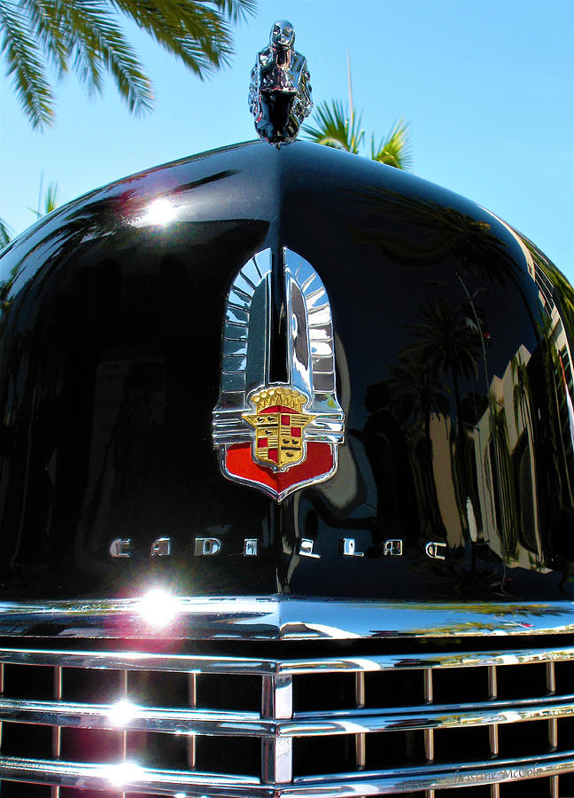 Cadillac Grill C Photograph by Christine McCole