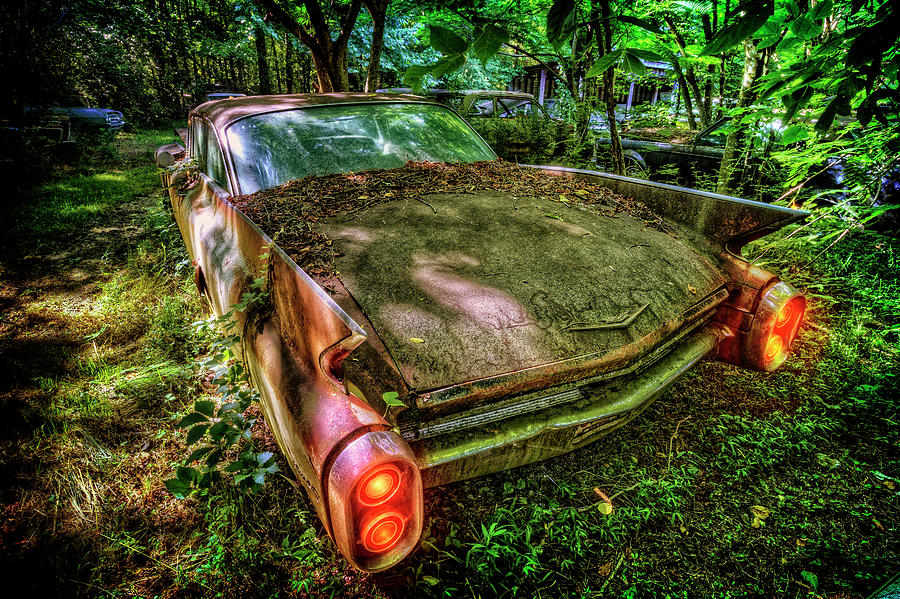 Cadillac in the Woods Photograph by Debra and Dave Vanderlaan