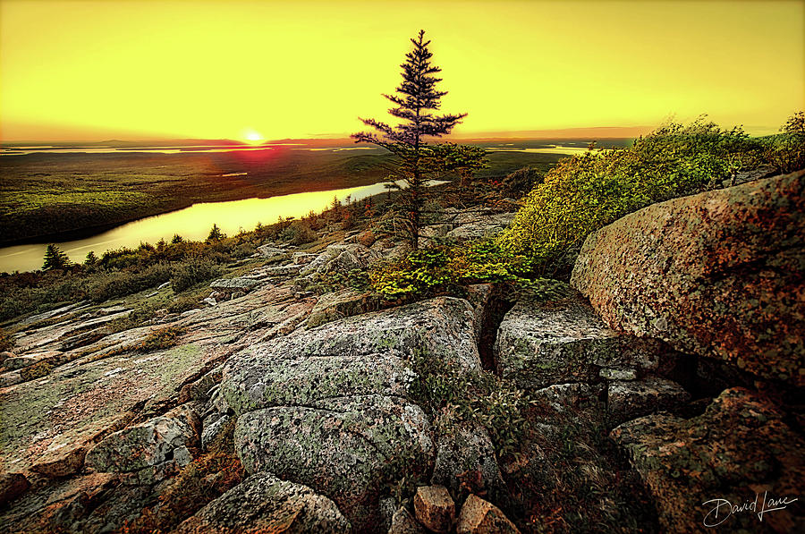 Cadillac Mountain Sunset by David A Lane Cadillac Mountain Sunset by David A Lane