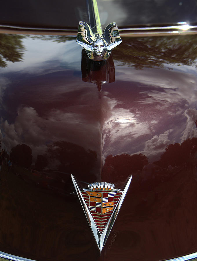 1949 Cadillac La Salle - Hood Ornaments Photograph by Yvonne Wright