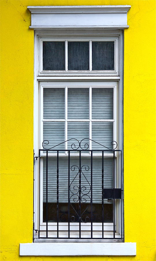 Cadmium Yellow Photograph by Ira Shander