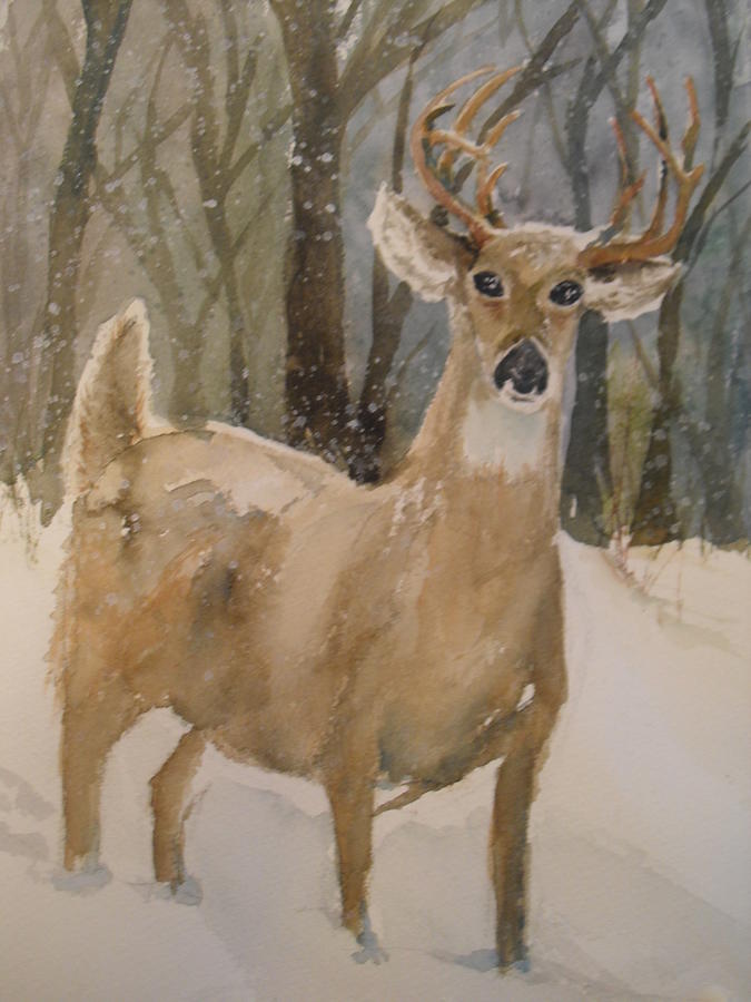 Caedmons Buck Painting by Sandra Strohschein