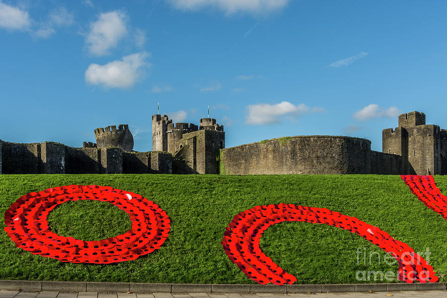 Caerphilly Castle Remembers Photograph by Steve Purnell