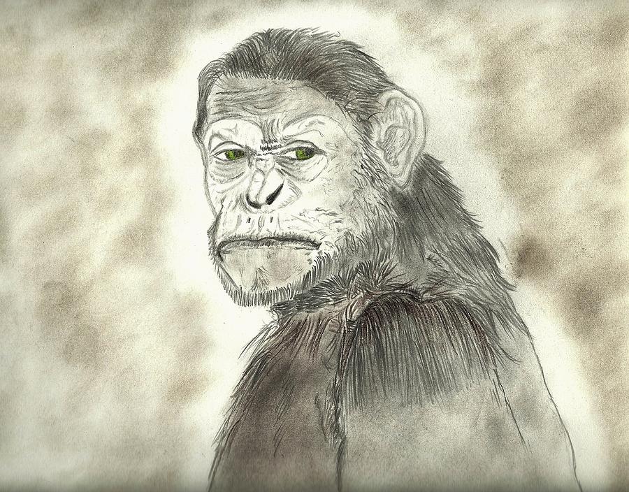 Planet Of The Apes Drawing - Ape by Nicole Burrell