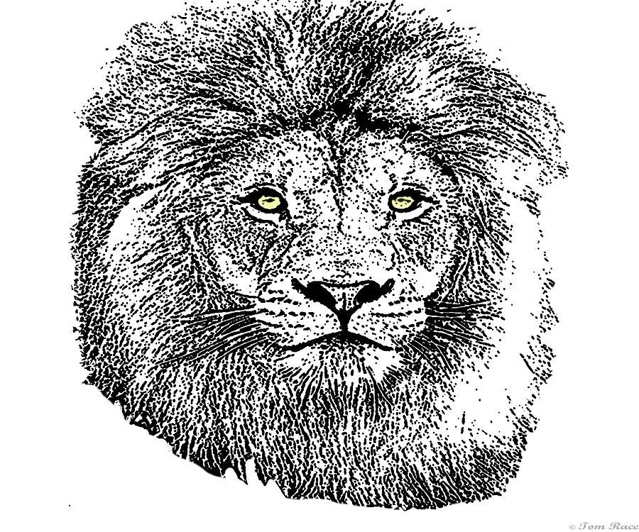 Lion Digital Art - Caesar by Tom  Race