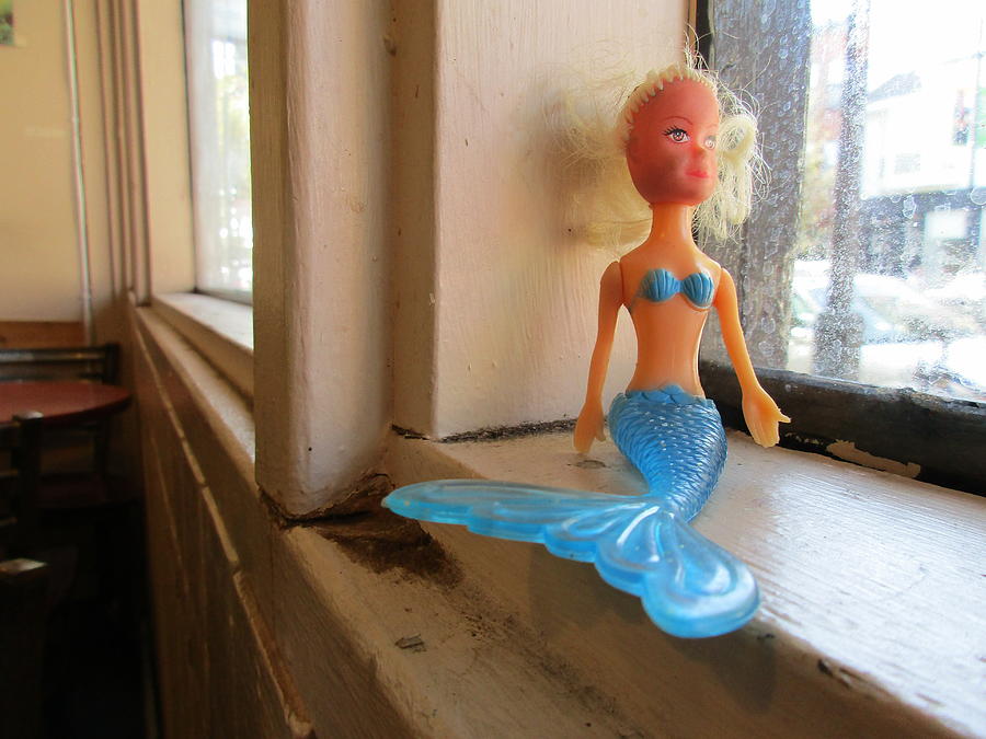 Cafe Windowsill 1 The Blue Mermaid Photograph By David Lovins