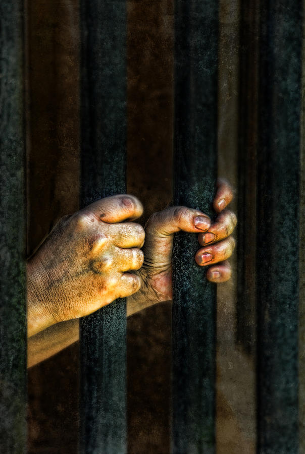 Caged 2 Photograph by Jill Battaglia