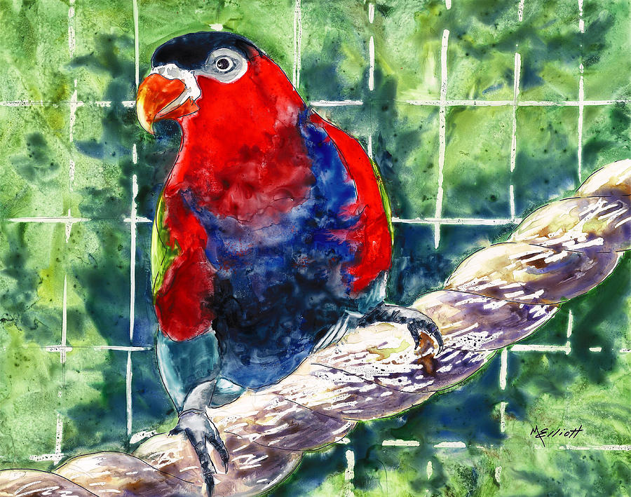 Parrot Painting - Caged by Marsha Elliott