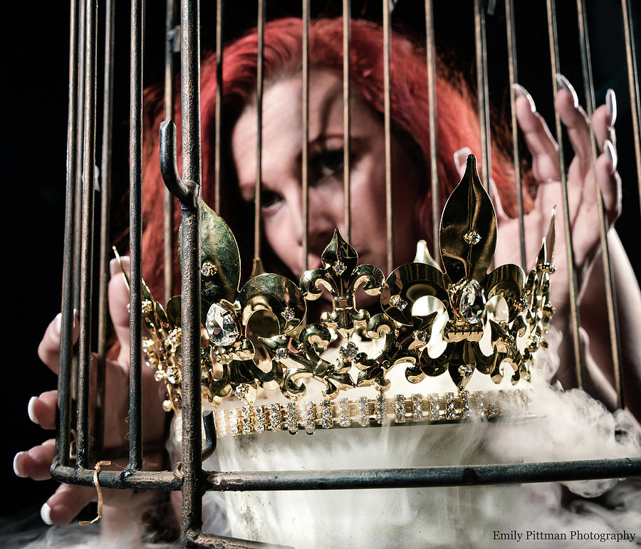 Caged Royals Photograph by Emily Pittman