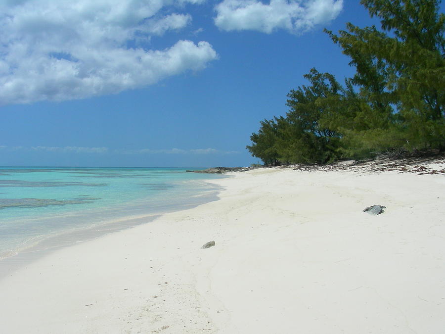 Caicos  Photograph by Jean Wolfrum