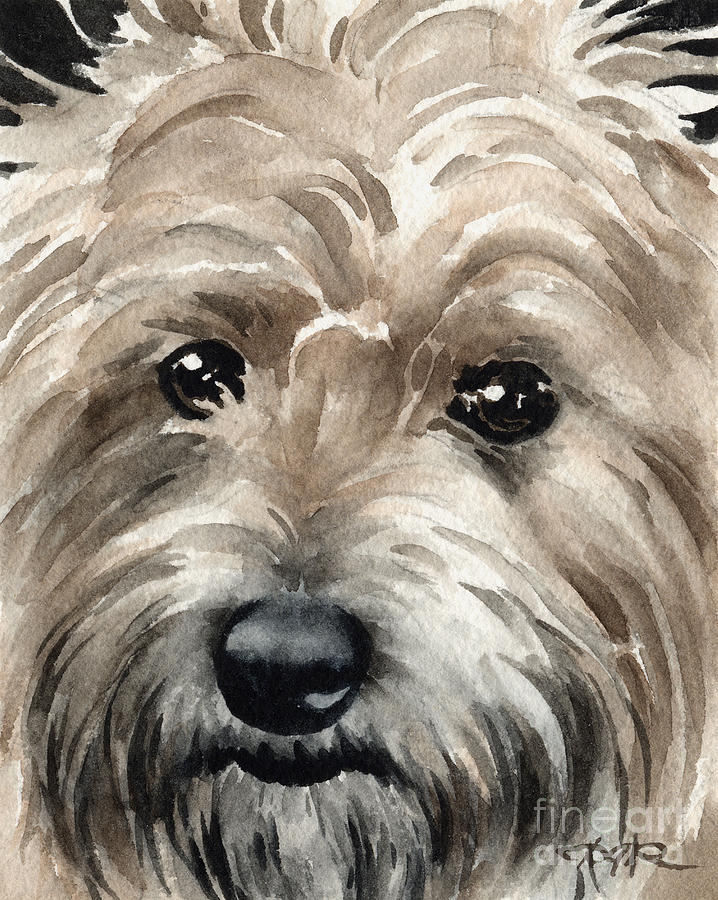 Dog Painting - Cairn Terrier by David Rogers