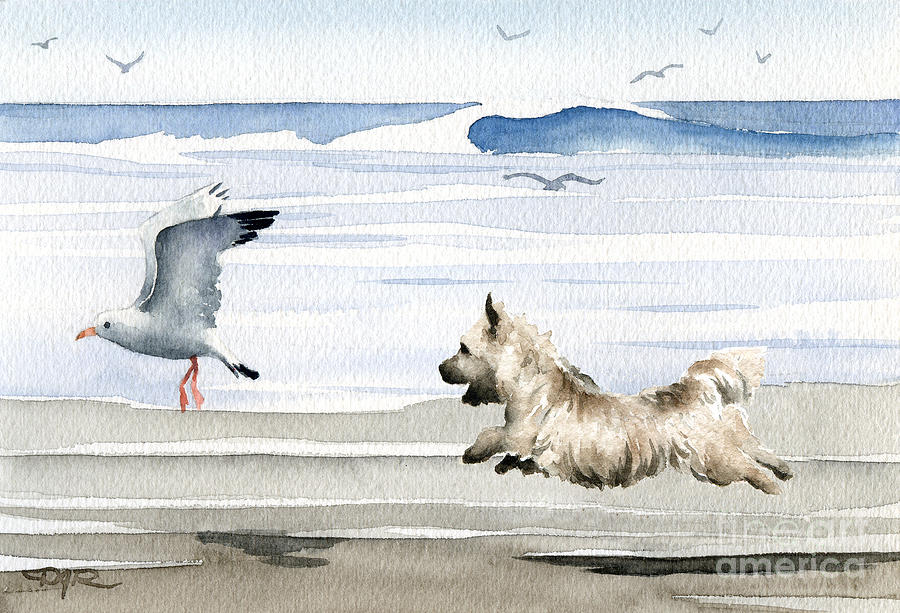 Seagull Painting - Cairn Terrier On The Beach by David Rogers