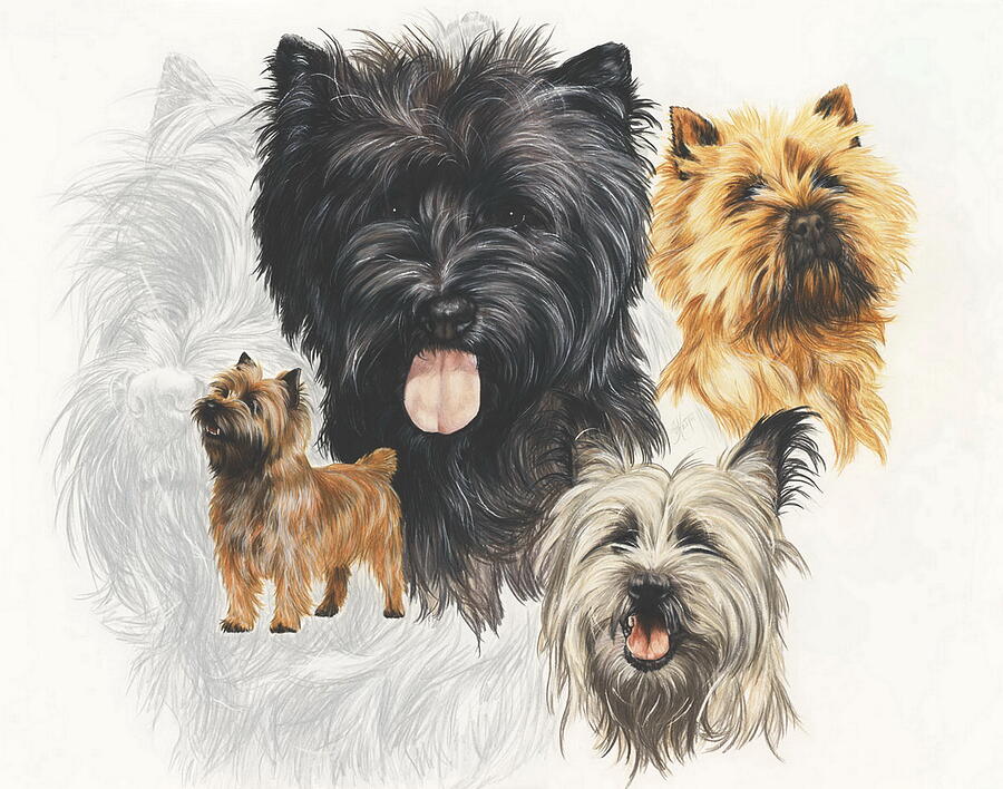 Cairn Terrier Revamp Mixed Media by Barbara Keith