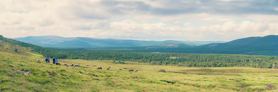 Cairngorms Landscape Photograph by Ray Devlin