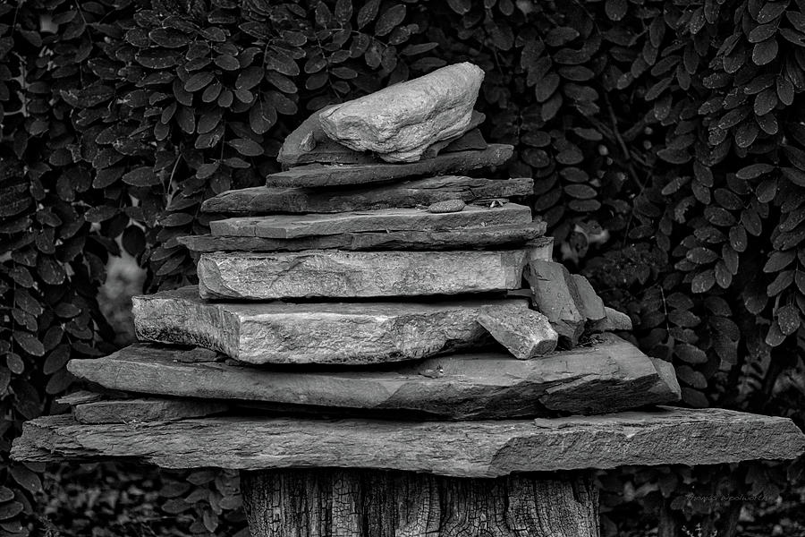 Cairns Rock Trail Marker Bluff Utah 01 BW Photograph by Thomas Woolworth