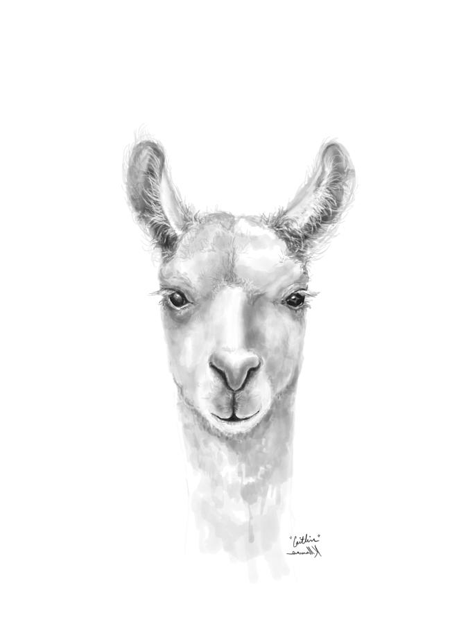 Llama Drawing - Caitlin by Kristin Llamas