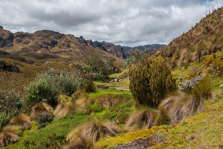 Cajas National Park in Ecuador Photograph by Robert McKinstry