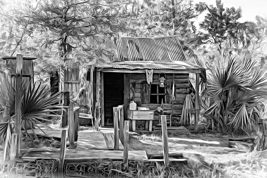 Cajun Cabin 2 - Paint bw Photograph by Steve Harrington