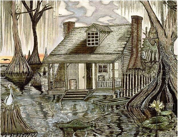 Cajun Swamp House on the Bayou Drawing by Molly Taylor - Fine Art America