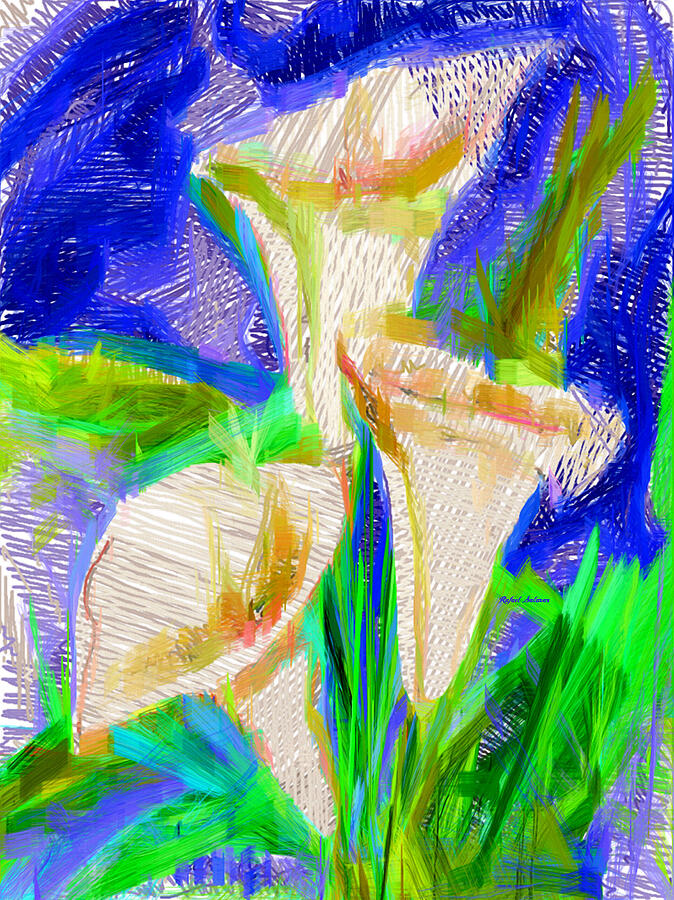 Cala Lillies Digital Art by Rafael Salazar