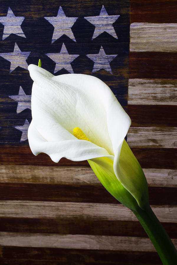 Cala Lily And American Flag Photograph by Garry Gay
