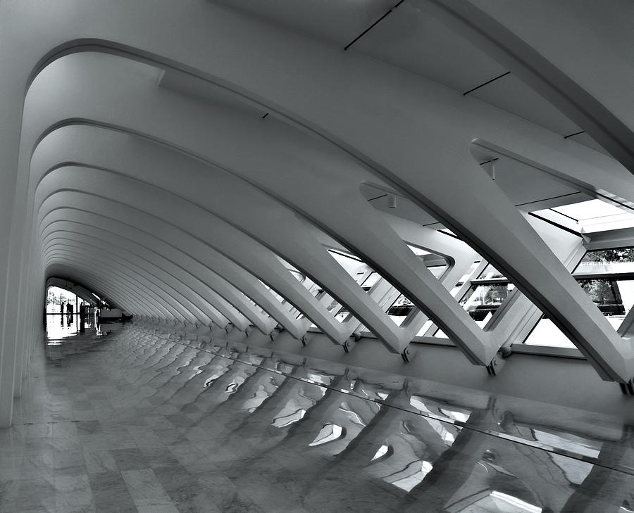 Calatrava 3 Photograph by Gordon Engebretson